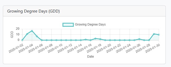 Bermuda Grass Growth Cycle