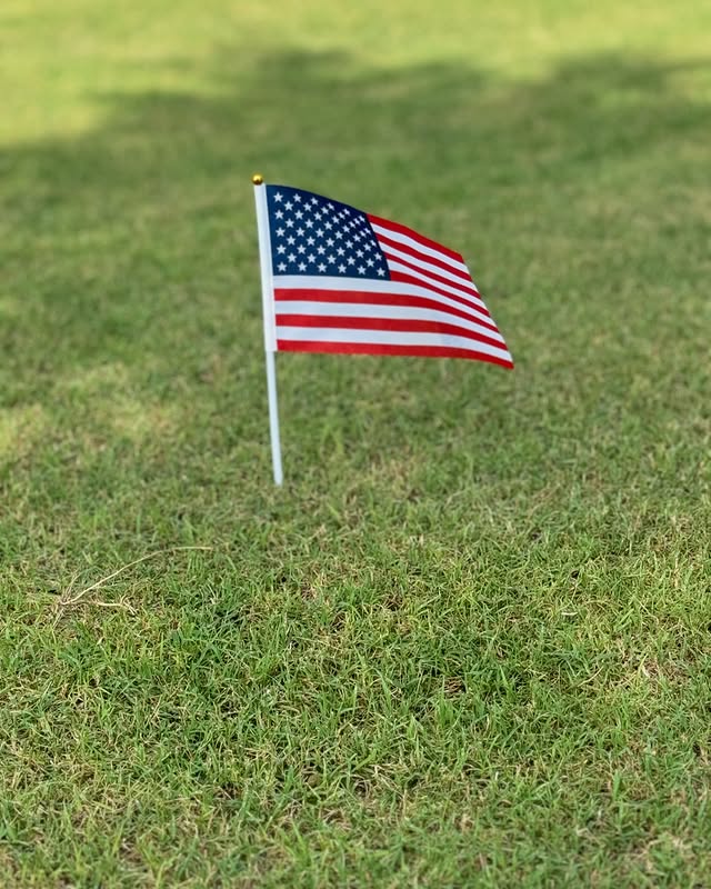 Perfect Lawn Example 3