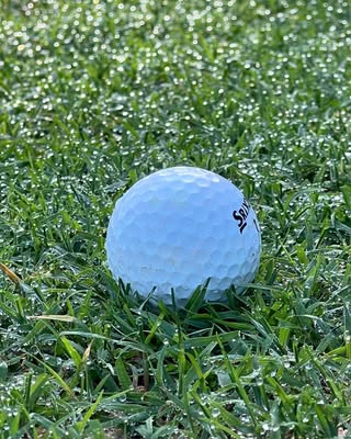 Perfect Lawn Example 4